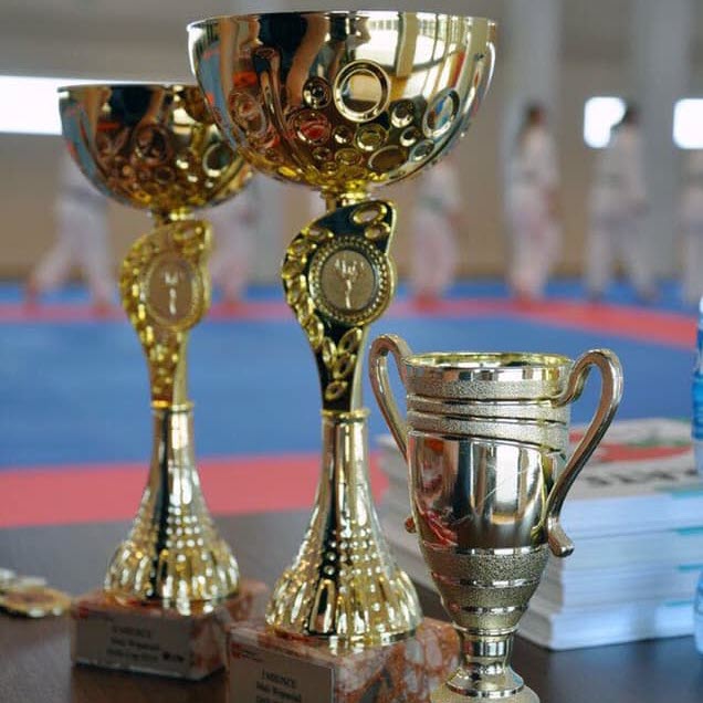 XVII Turniej rodzinny w Karate Tradycyjnym „FAMILY CUP”